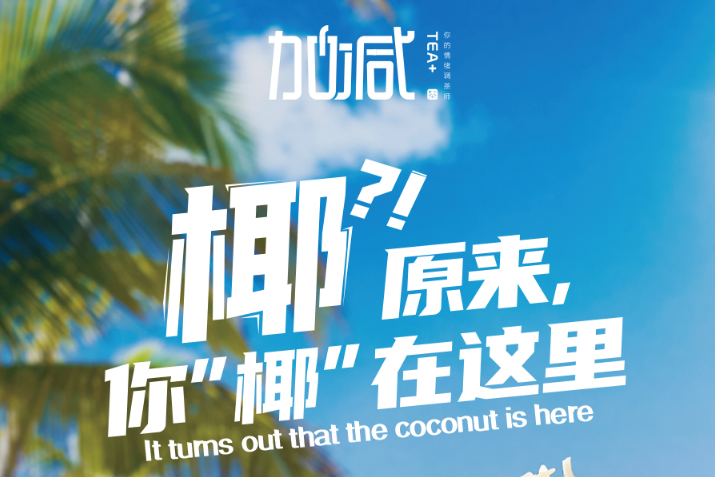 K8凯发(中国)椰子系列新品火爆上市
